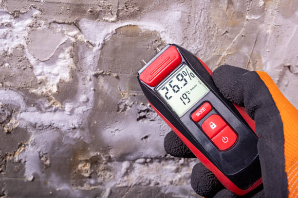 Best Water Damage Restoration  in Lake Catherine, IL