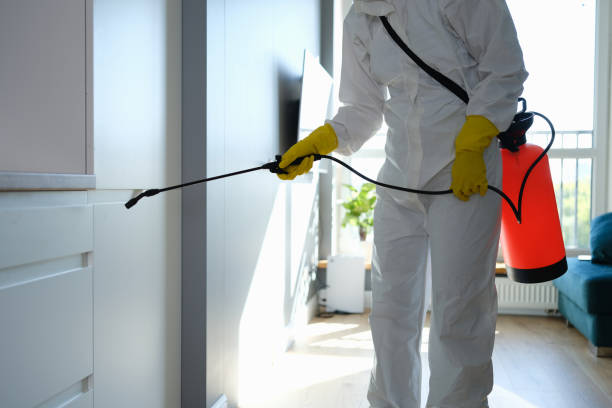 Best Fast Mold Removal  in Lake Catherine, IL